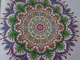 whatsapp bild 2025-04-08 um 18.32.57_35c79ade